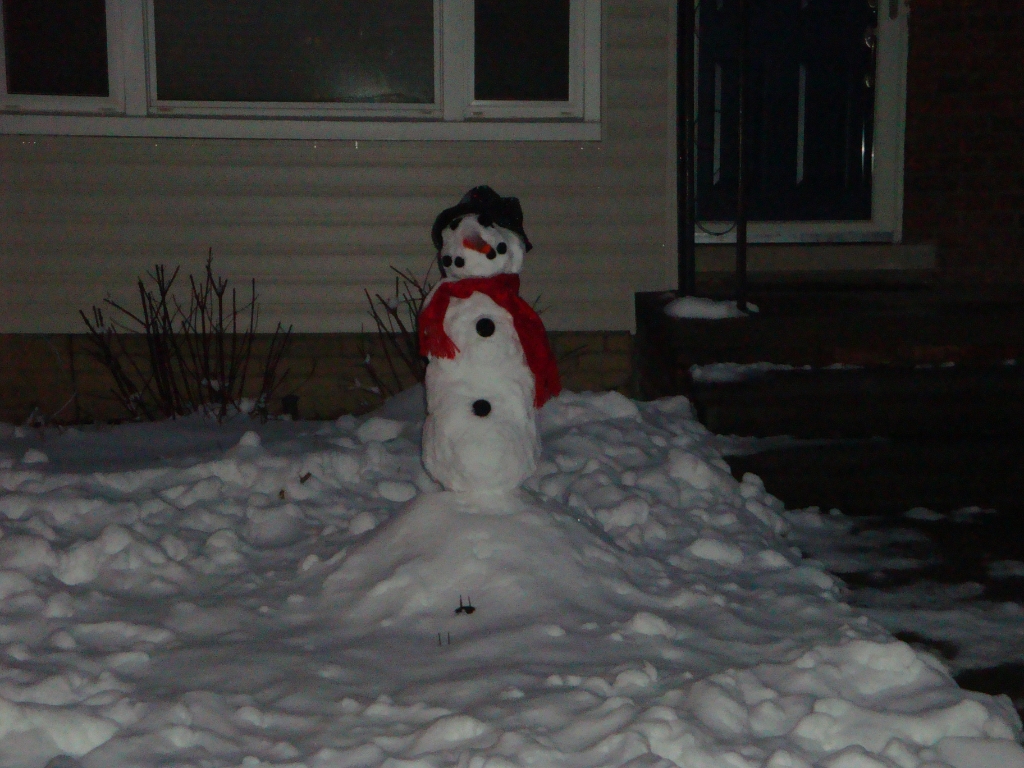 02-22-10 Snowman